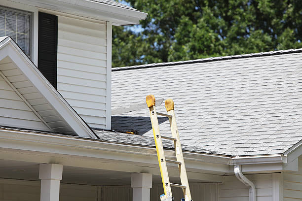 Historical Building Siding Restoration in Valle Vista, CA